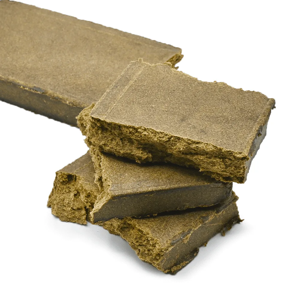 Hash – Banana Hammock